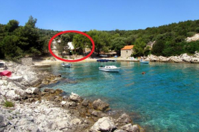 Apartments by the sea Cove Milna - Zastrazisce, Hvar - 8951